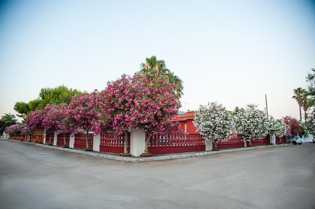 Villa Gisella Punta Prosciutto Camera foto